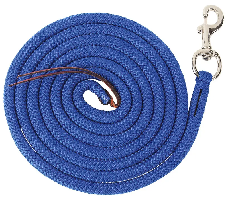 12-Foot Training Lead With Trigger Snap Hook 1