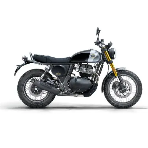 2025 Royal Enfield Bear 650 Cruiser – Golden Shadow Colorway 1