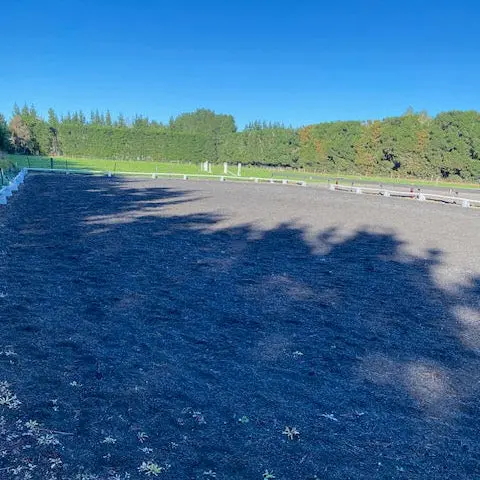 Hourly Dressage Arena Rental Service 1