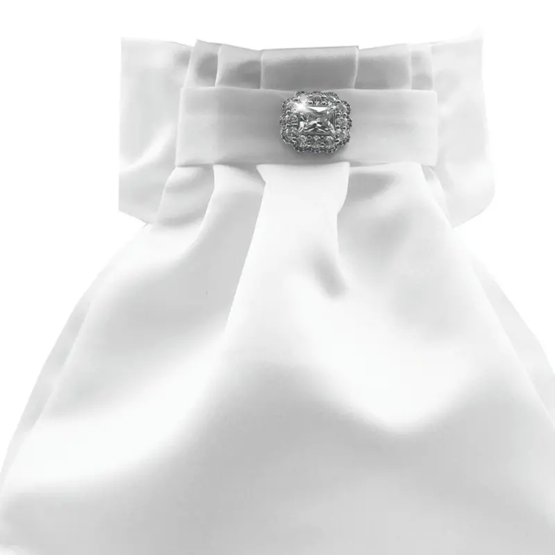 Radiance Crystal Deluxe Pre-Attached Stock Tie 1