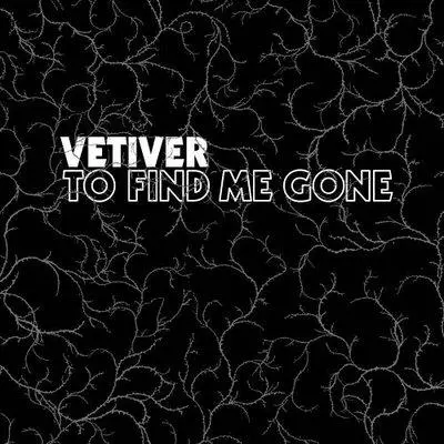 To Find Me Gone – Haunting Lo-Fi Singer-Songwriter Album 1