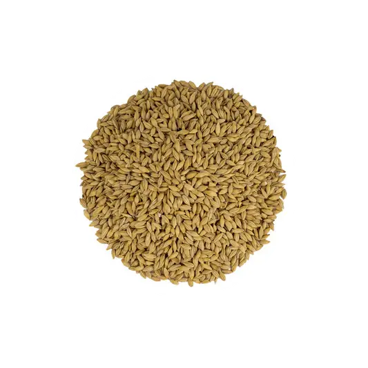 Whole Grain Barley Horse Feed – 20 Kg Bag 1